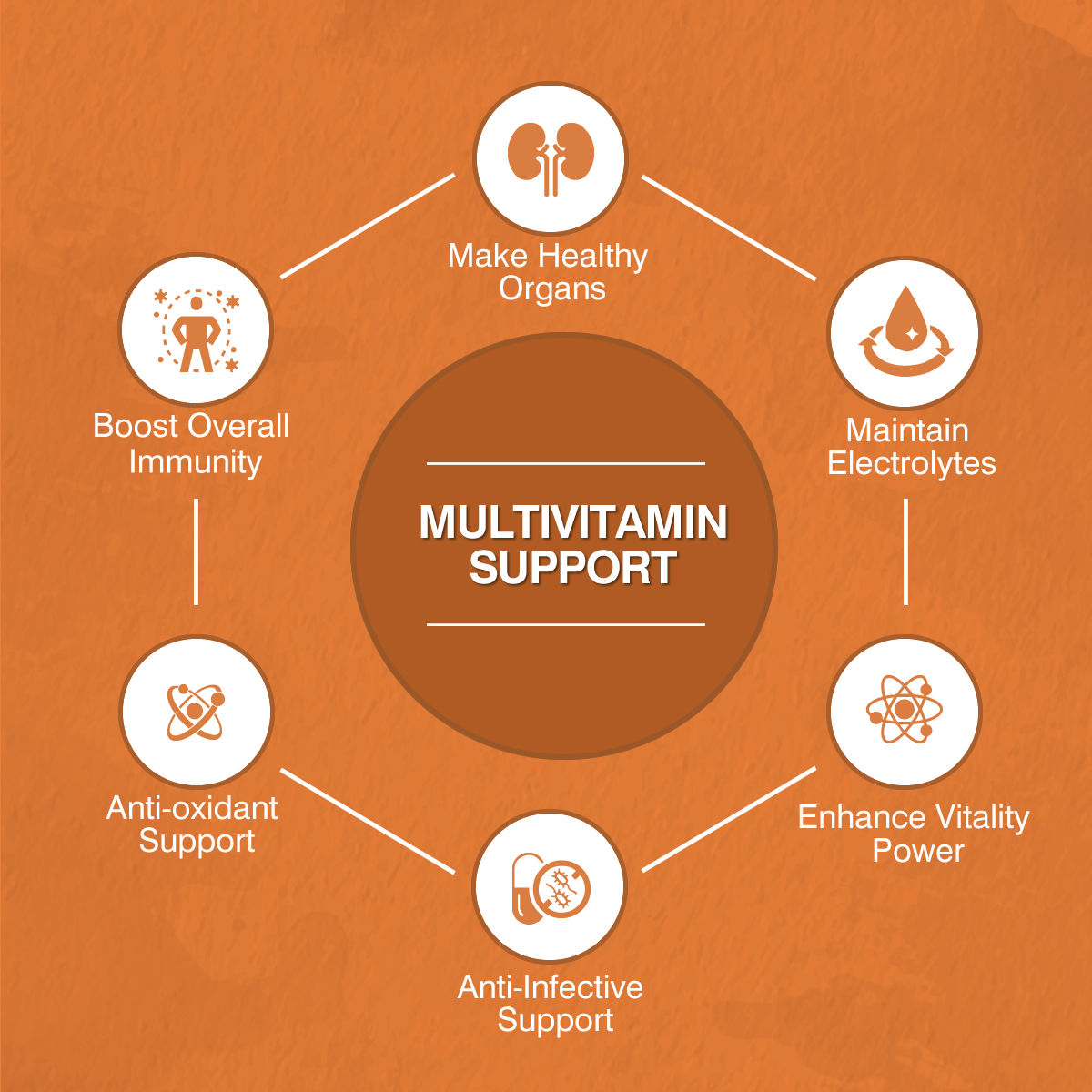 1000 mg Multivitamin Support Phytochemistry Dietary Supplement