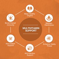 1000 mg Multivitamin Support Phytochemistry Dietary Supplement