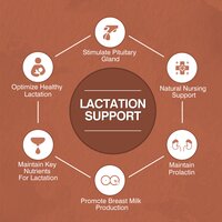 1000 mg Lactation Support Phytochemistry Dietary Supplement