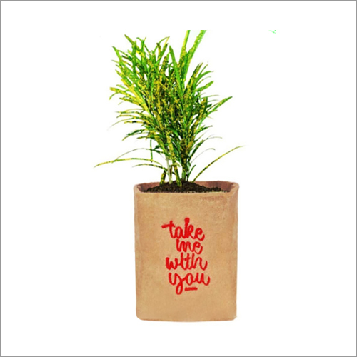 Ecofriendly Corporate Gift Eco Friendly Jute Grow Bag