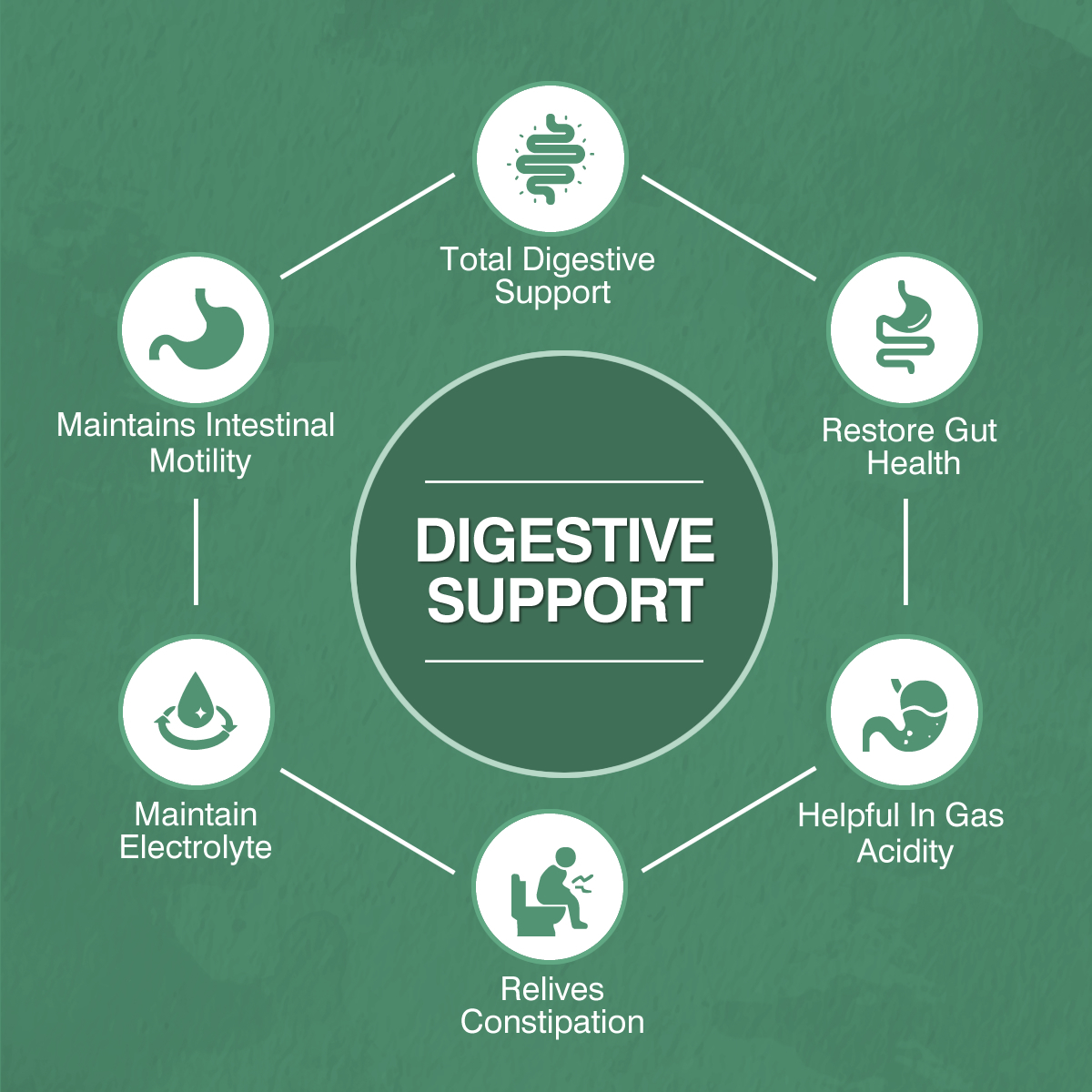 1000 MG Digestive Enzyme Support Tablets