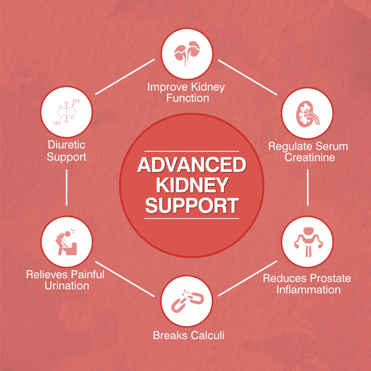 1000 MG Advanced Kidney Support Tablets