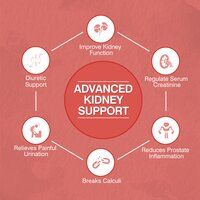 1000 MG Advanced Kidney Support Tablets