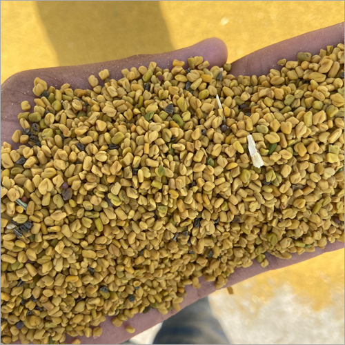 Common Organic Fenugreek Seeds