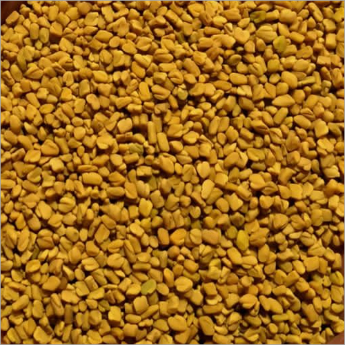 Sortex Yellow Fenugreek Seeds