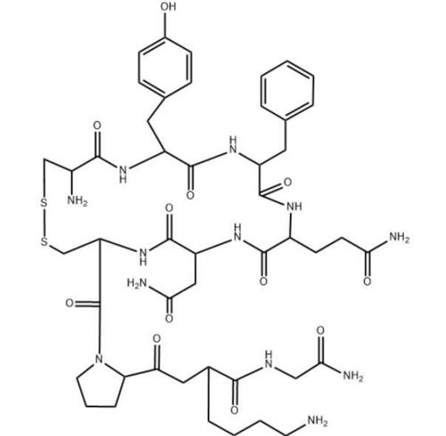 Vasopressin (antidiuretic hormone)