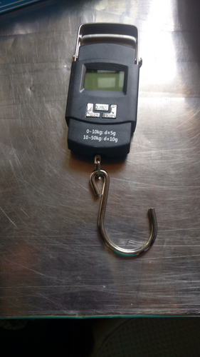 Hanging Scale