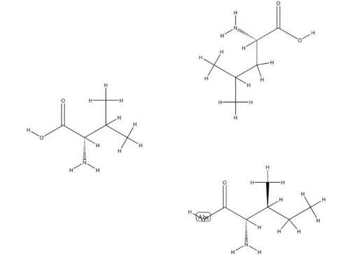 BRANCHED CHAIN AMINO ACIDS