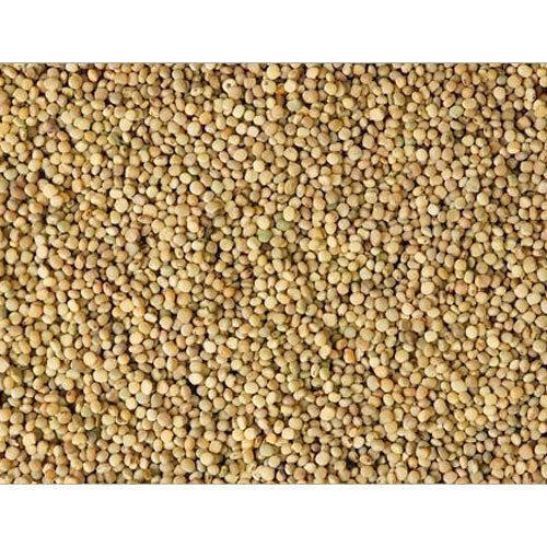 Guar Gum Seeds