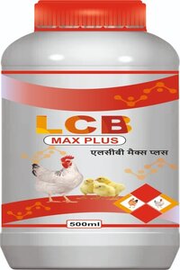 Levofloxacin Colistin And Bromecien Oral Liquid LCB MEX PLUS