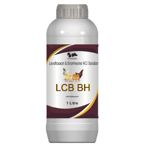 Levofloxacin And Bromhexine HCL Solution Poultry Feed Supplement