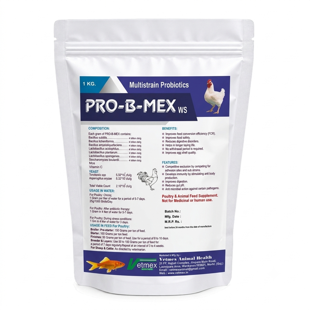 Multi Strain Probiotic Powder ws.