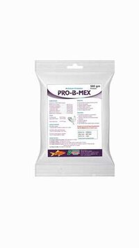1 kg Multi Strain Probiotic Powder