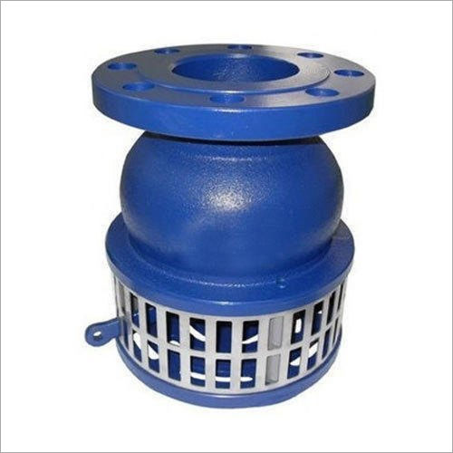 Cast Iron Foot Valve Size: 50-300Mm