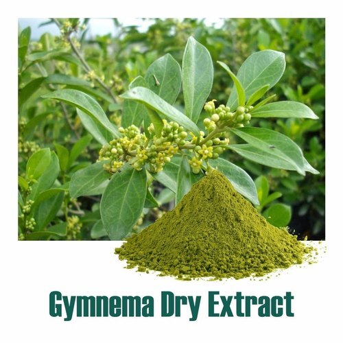 Gymnema Extract Shelf Life: 6 Months