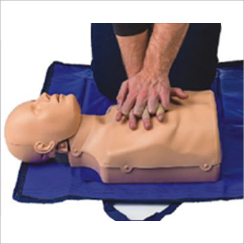 Cr Training Manikin Advance Torso Model Application: Commercial