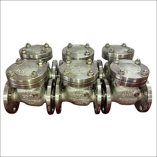 Swing Check Valve