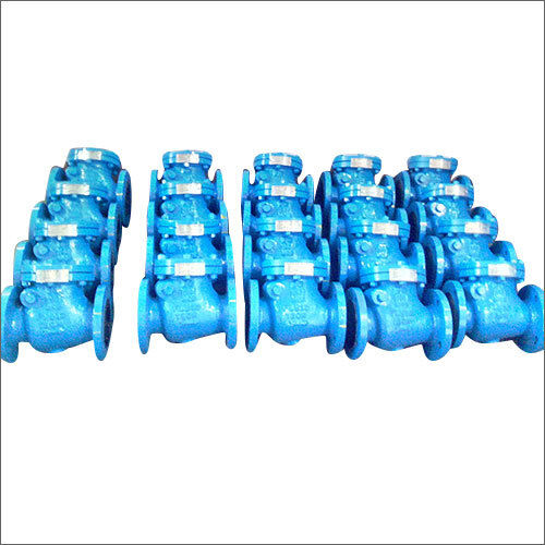 SS316 Swing Check Valves