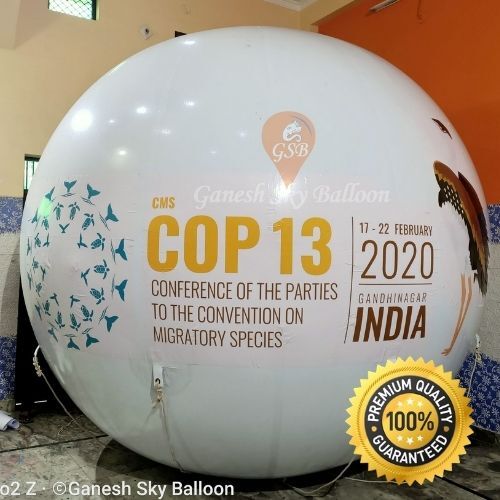 CMS COP 13 Advertising Sky Balloon