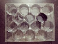 Voice Coil Blister
