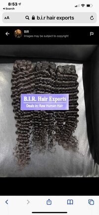 Human Hair Steam Curly