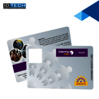 Dual chip cards manufacturer