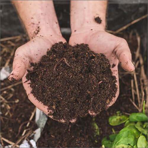 Brown Agriculture Pure Vermicompost