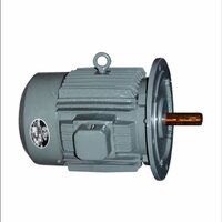 Electric Induction Motor