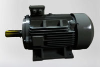 Electric Induction Motor