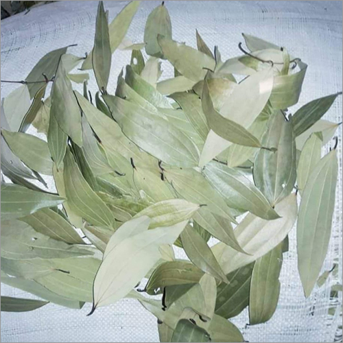 Dry Tejpatta