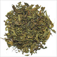 Basil Whole Leaf Organically Grown