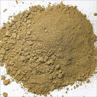 Organically Grown Basil Powder