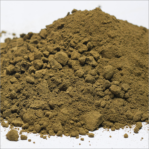 Organically Grown Basil Powder