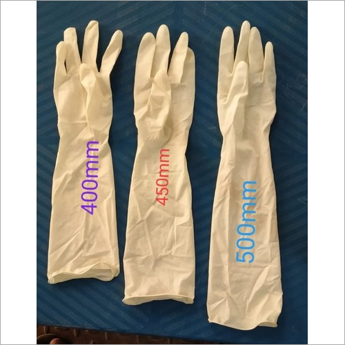 Elbow Length Latex Surgical Gloves