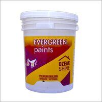 Interior And Exterior Premium Emulsion Paints