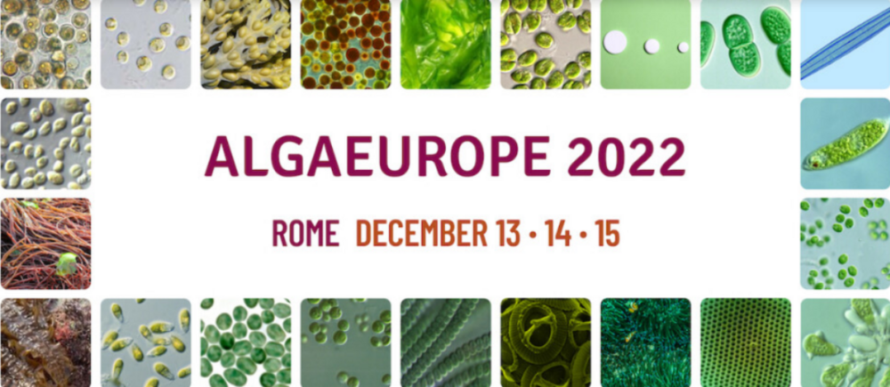 AlgaEurope 2022 - 3 Days 350+ Attendees 45+ Countries | Networking Innovation Science Technology Business