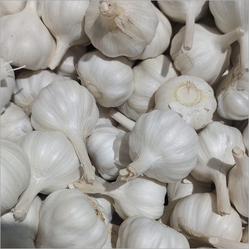 White Garlic Moisture (%): Nil
