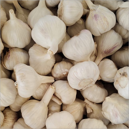 Fresh Garlic Moisture (%): Nil