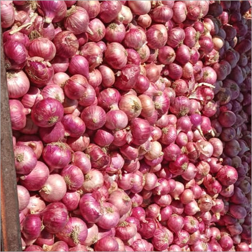 Red Onion Moisture (%): Nil