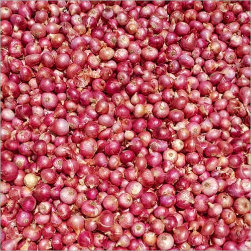 Natural Red Onion Moisture (%): Nil