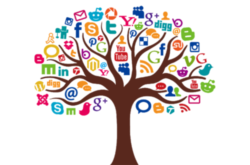 DIGITAL MARKETING SERVICE