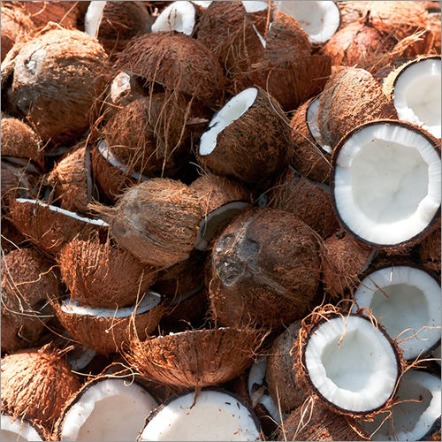 Coconut Fresh