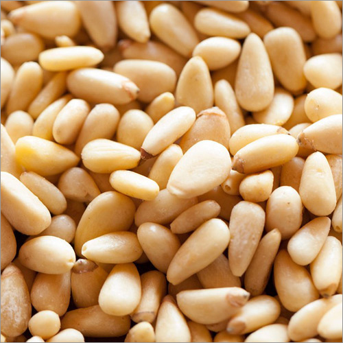 Pine Nuts Size: Natural