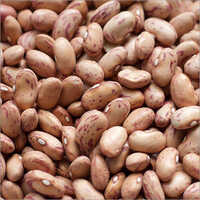 Brown Dried Beans