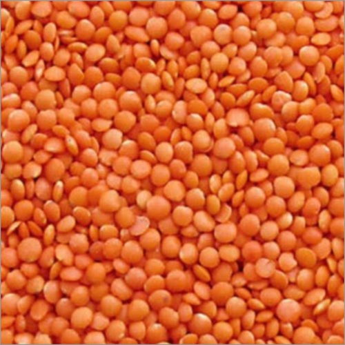 Masoor Dal