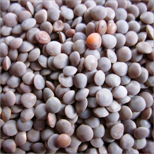 Brown Masoor Dal