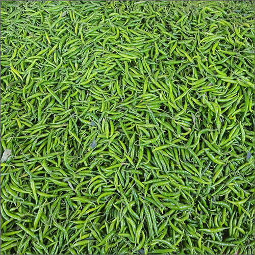 Fresh Green Chilli