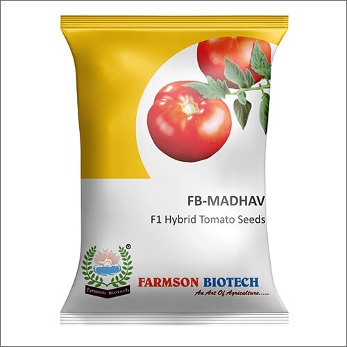 FB-Madhav F1 Hybrid Tomato Seeds