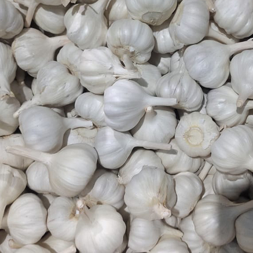 Best Quality Garlic Moisture (%): Nil
