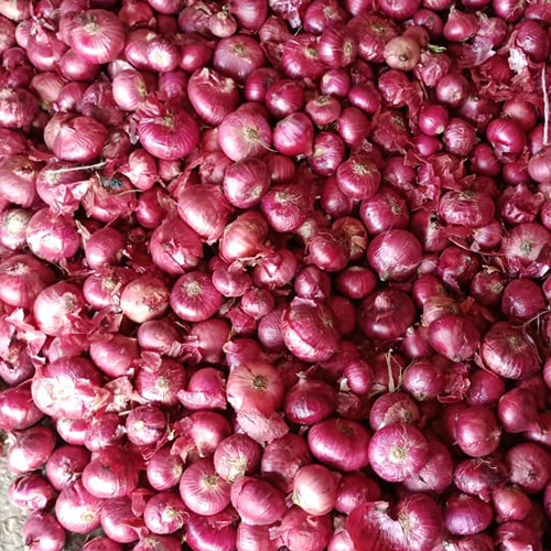 Best Quality Onion Moisture (%): Nil